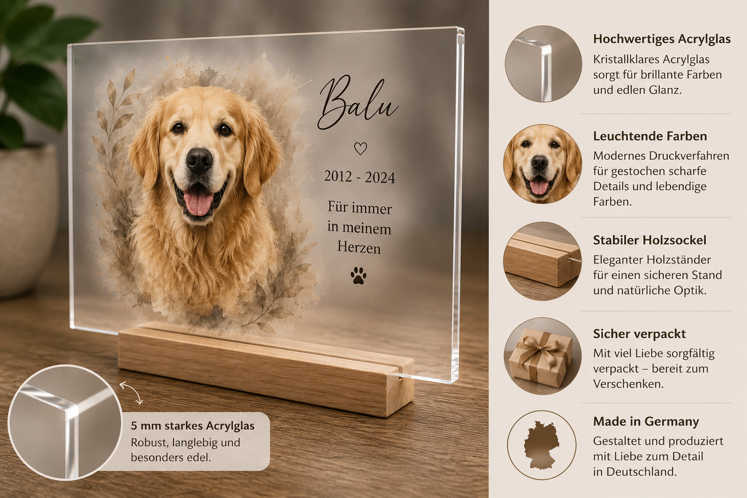 Detailansicht hochwertiges Acrylglas Hunde Portrait mit stabilem Holzsockel