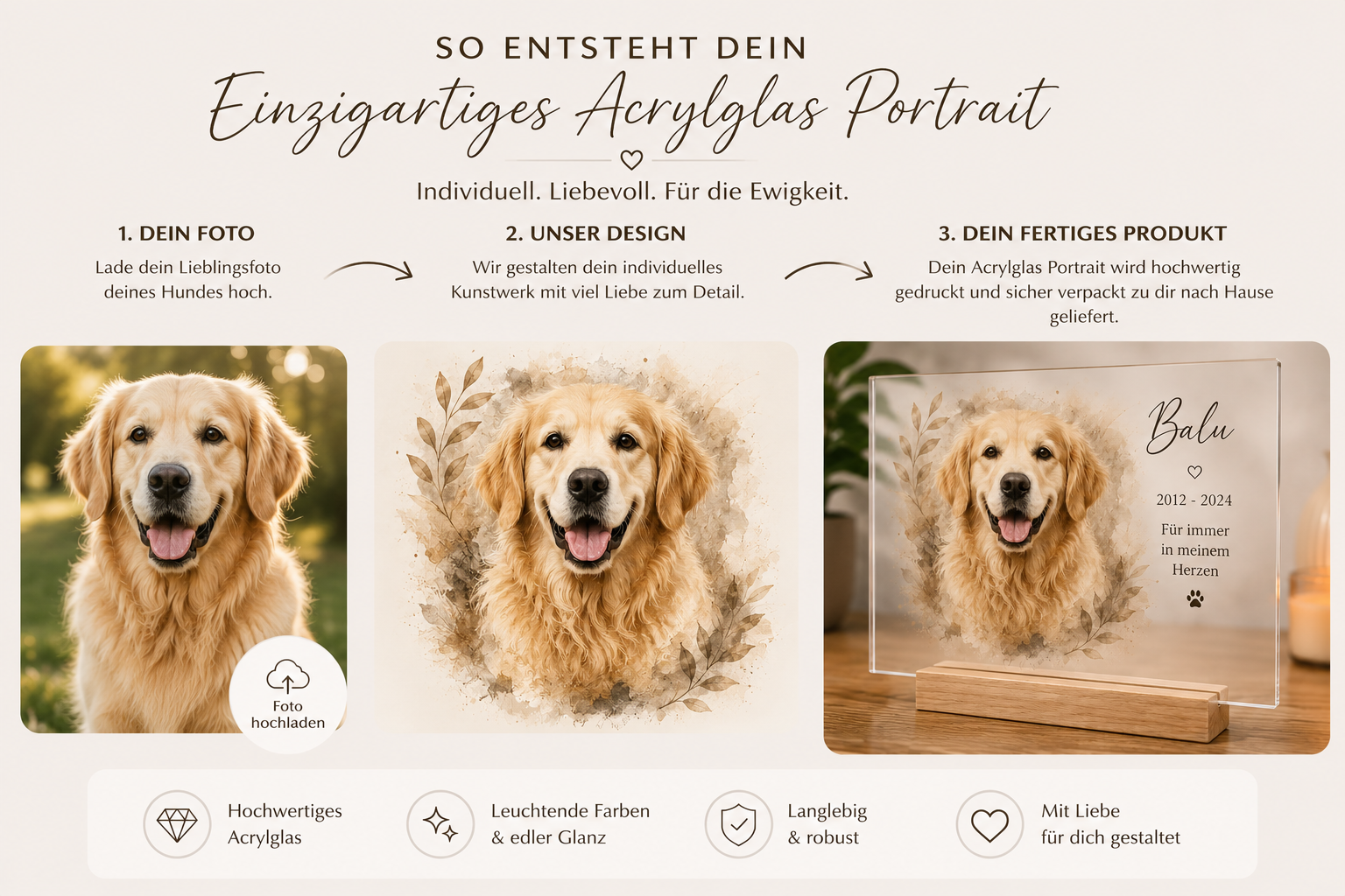 Vom Hundefoto zum personalisierten Acrylglas Portrait